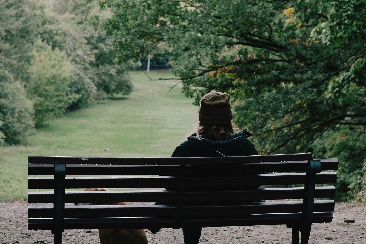 A person sitting alone on a park bench facing a green lawn and trees