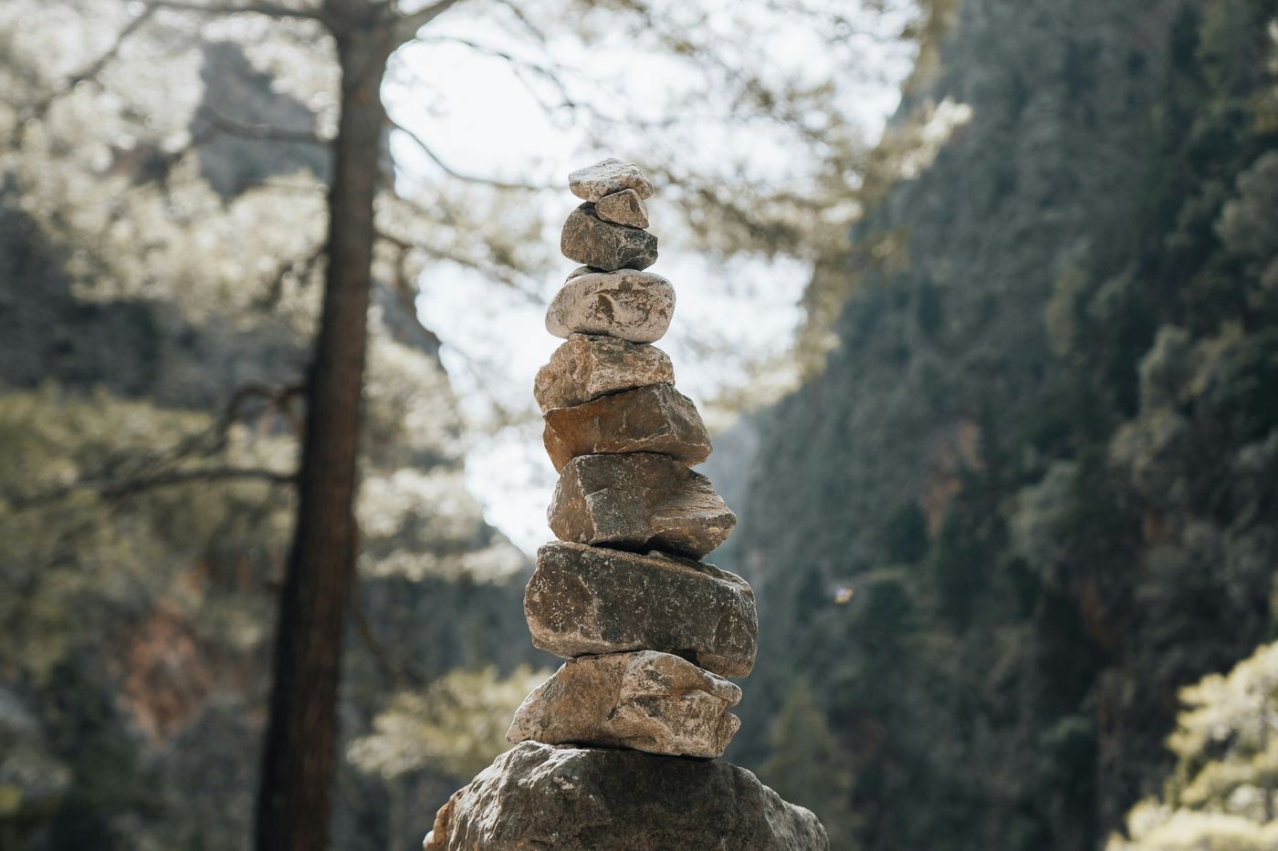 A stack of balanced stones in a forested canyon